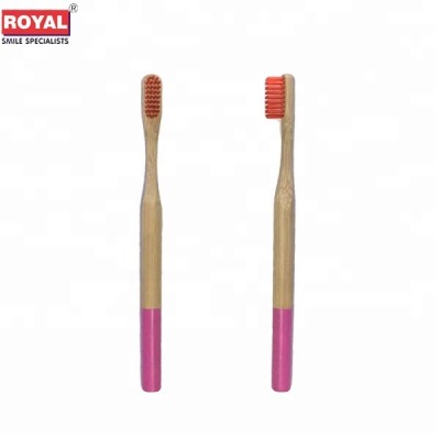 OEM eco-friendly biodegradable bamboo toothbrush with charcoal filaments