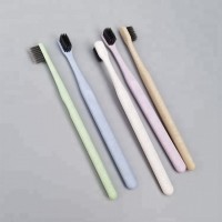 Eco-Friendly Biodegradable Natural Wheat Straw Toothbrush with Bamboo Charcoal Infused Bristles